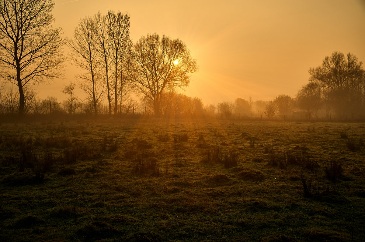 Slide Title